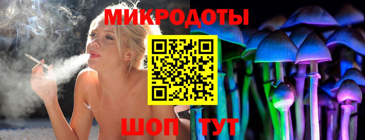 Псилоцибиновые грибы прущие грибы Магадан